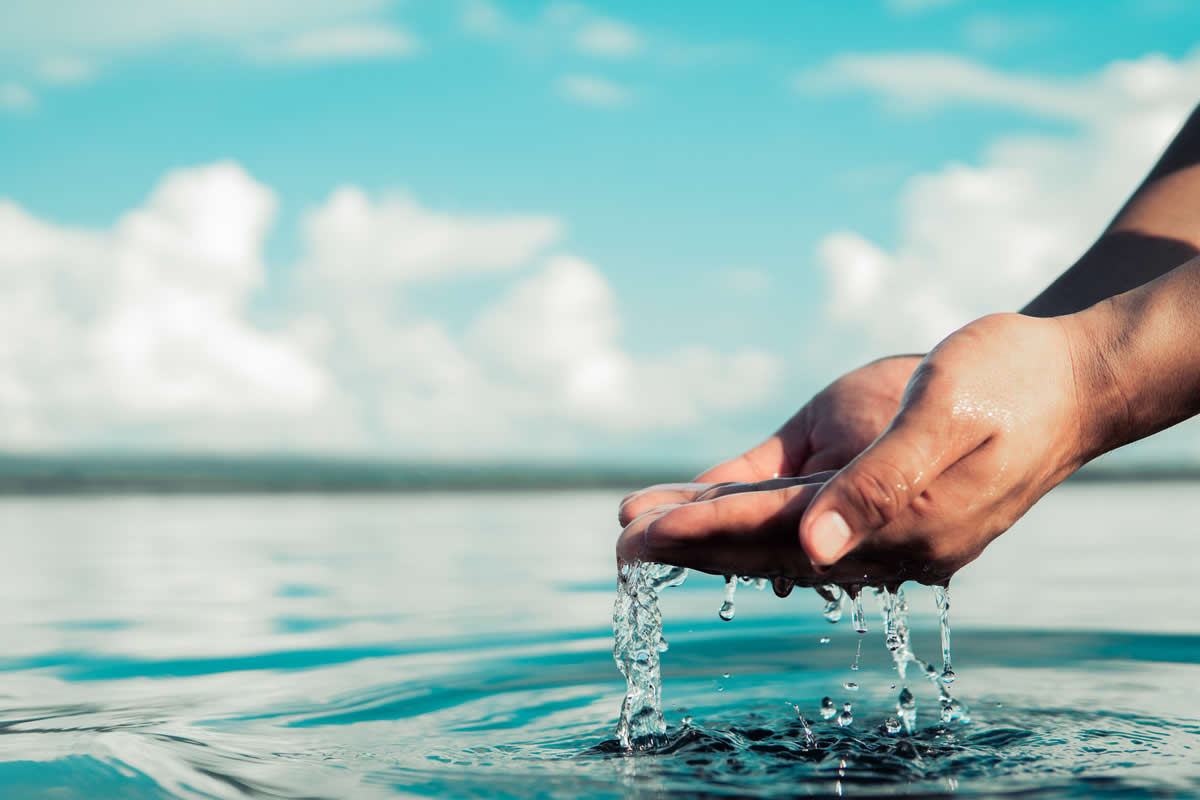 Dia Mundial da Água: como empresas podem contribuir para um mundo mais sustentável? 